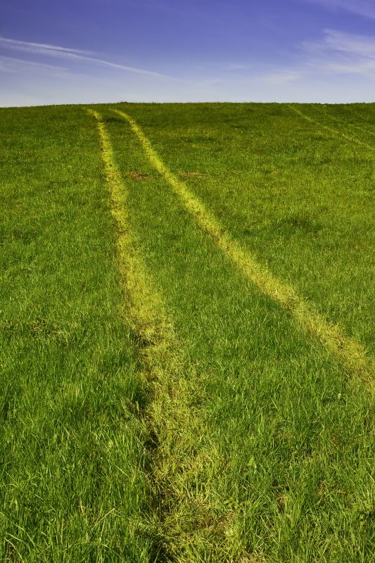 Bare Spot Repair in Honolulu, HI
