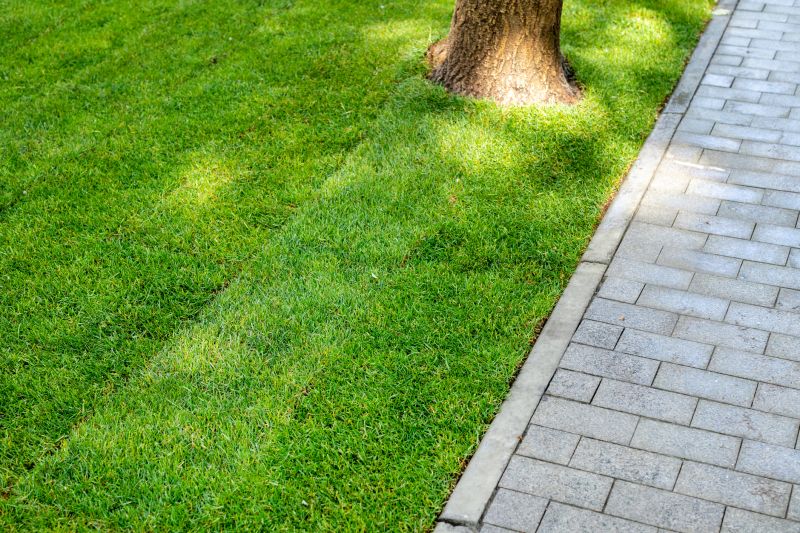 Dryscape Landscaping in Honolulu, HI