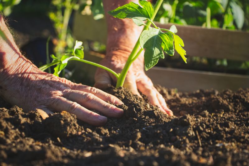 Garden Maintenance Service in Ventura County, CA