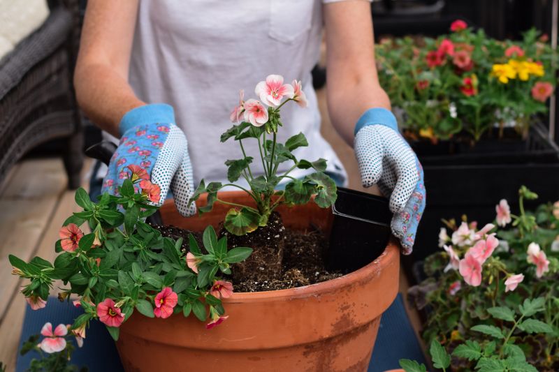 Gardening Service in Honolulu, HI