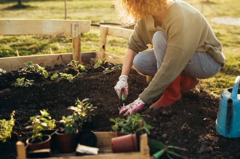Ground Cover Planting in Ventura County, CA