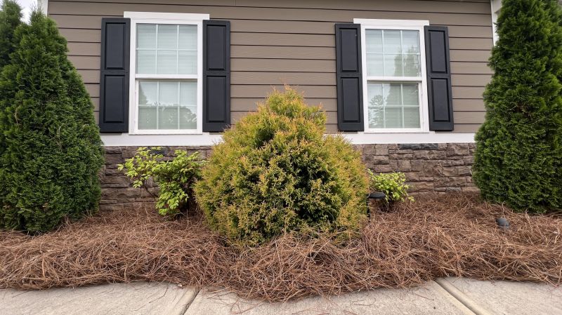 Mulch Installation in Ventura County, CA