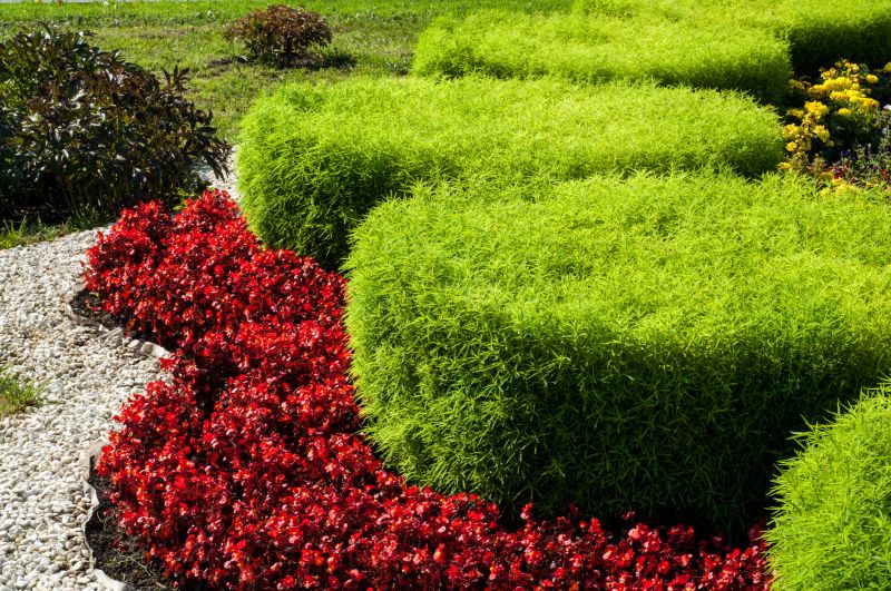 Pathway Landscaping in Honolulu, HI