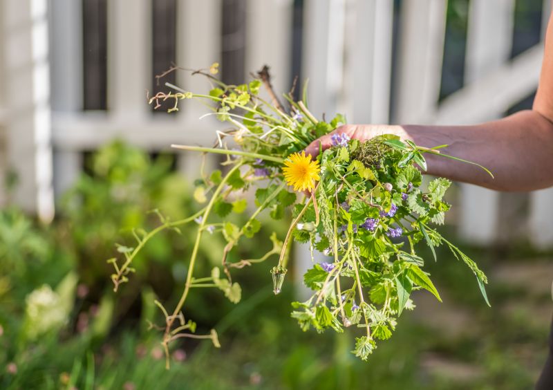 Spring Garden Maintenance in Ventura County, CA