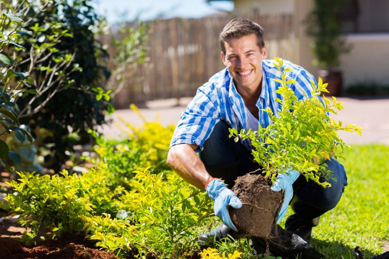 Spring Garden Maintenance in Honolulu, HI