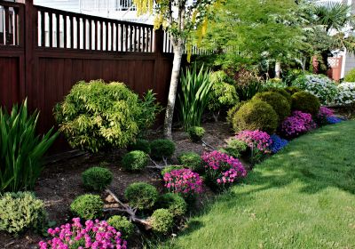 Weeding And Mulching in Honolulu, HI
