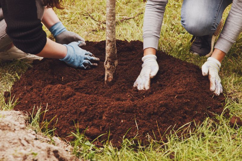 Fruit Tree Planting in Ventura County, CA