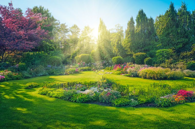 Garden Remodeling Service in Honolulu, HI