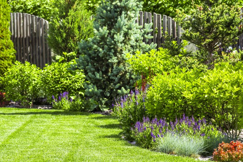 Landscape Remodeling in Honolulu, HI